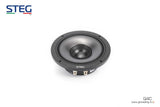 STEG Q-4C (CONCENTRIC SPEAKERS)